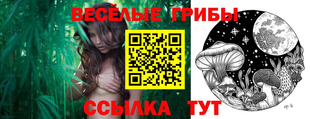 Галлюциногенные грибы прущие грибы Саранск