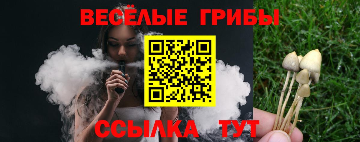 Псилоцибиновые грибы мухоморы  Вход с VPN  где найти наркотики  Галлюциногенные грибы Psilocybe  Саранск 